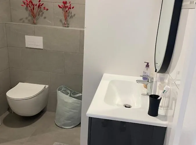 Apartment Hyper Centre Historique Calme En Mode A Pied *